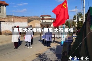 番禺大石疫情/番禺 大石 疫情