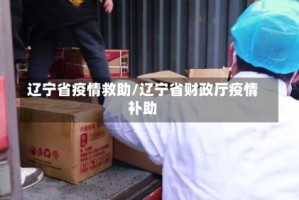 辽宁省疫情救助/辽宁省财政厅疫情补助