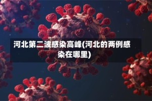 河北第二波感染高峰(河北的两例感染在哪里)