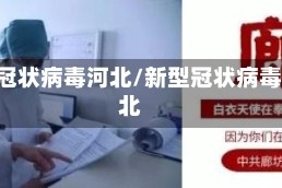 新型冠状病毒河北/新型冠状病毒 河北