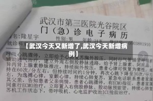 【武汉今天又新增了,武汉今天新增病例】