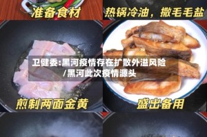 卫健委:黑河疫情存在扩散外溢风险/黑河此次疫情源头