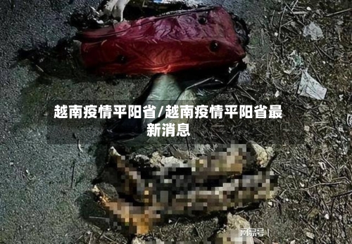 越南疫情平阳省/越南疫情平阳省最新消息-第2张图片