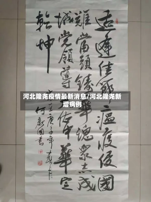 河北隆尧疫情最新消息/河北隆尧新增病例-第2张图片