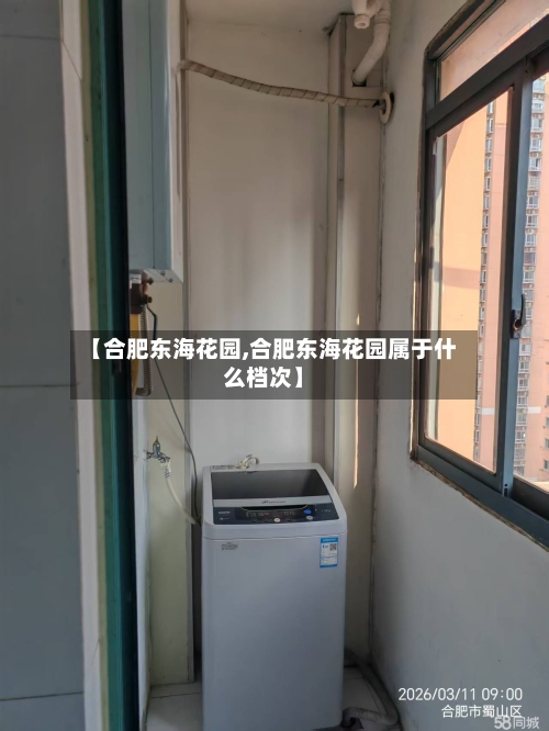 【合肥东海花园,合肥东海花园属于什么档次】-第1张图片