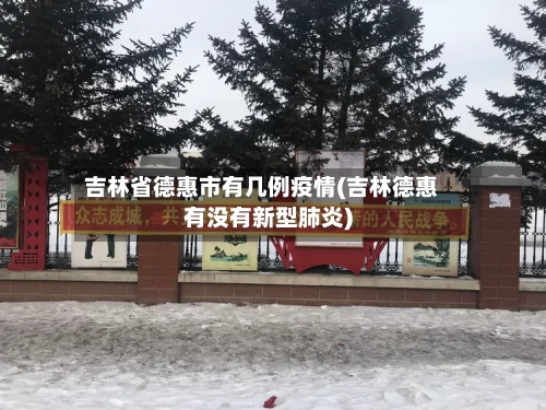 吉林省德惠市有几例疫情(吉林德惠有没有新型肺炎)-第1张图片
