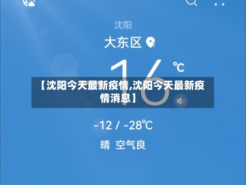 【沈阳今天最新疫情,沈阳今天最新疫情消息】-第2张图片