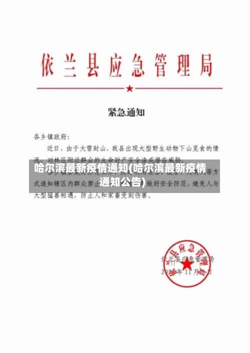 哈尔滨最新疫情通知(哈尔滨最新疫情通知公告)-第1张图片